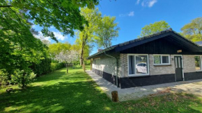 Gezellige, luxe bungalow 't pareltje in het bos in Hardenberg 